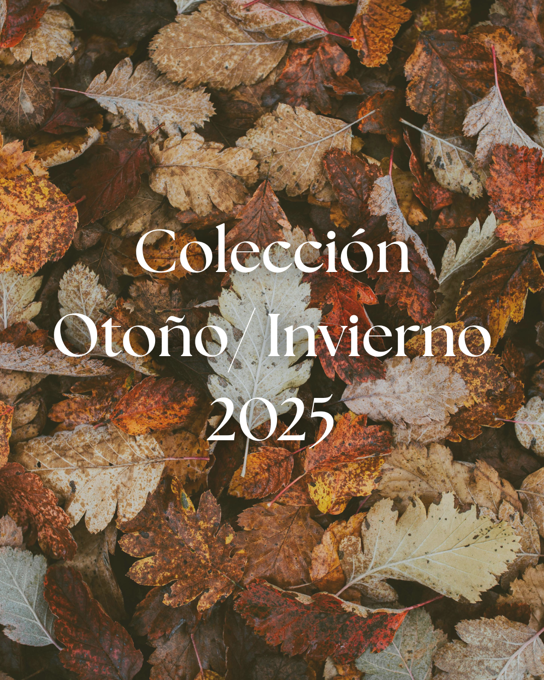 Colección Otoño/ Invierno 2025